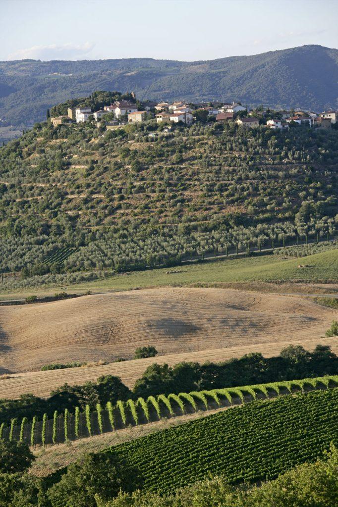 Il Museo della vite e del vino Montenero d'Orcia